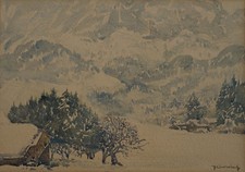 Schnee und Nebel Max