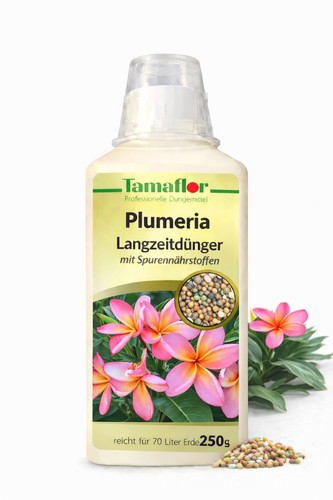 Dünger plumeria tempelbaum - dünger,