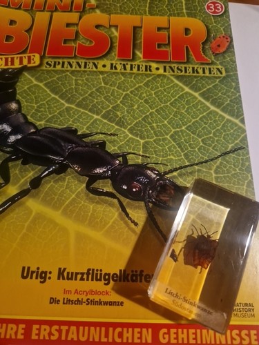 Mini biester - mini,