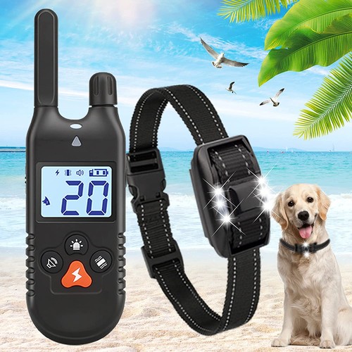 Elektroschock pet dog training - elektroschock,