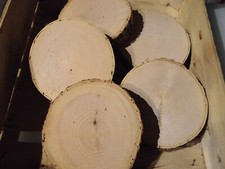 5 x Holzscheiben Astscheiben