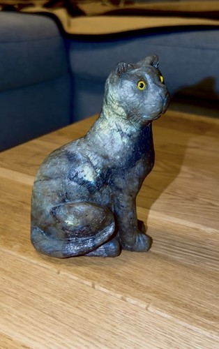 Große labradorit katze - große,
