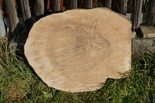 Baumscheibe Holzscheibe