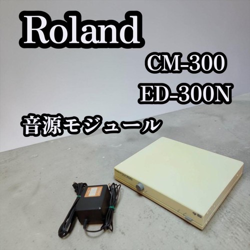 Roland 300 300n - cm-300, ed-300n