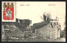 Zons schlossruine und - rh.,,