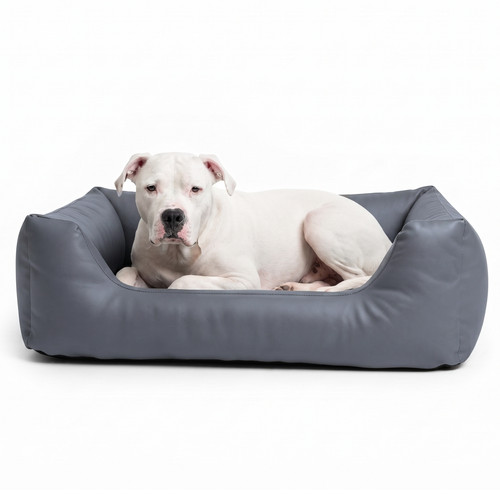 Orthopädisches hundebett - orthopädisches,