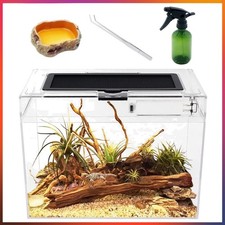 Elegantes Mini Terrarium Set