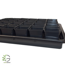 Pflanzen Anzucht-Set aus 24