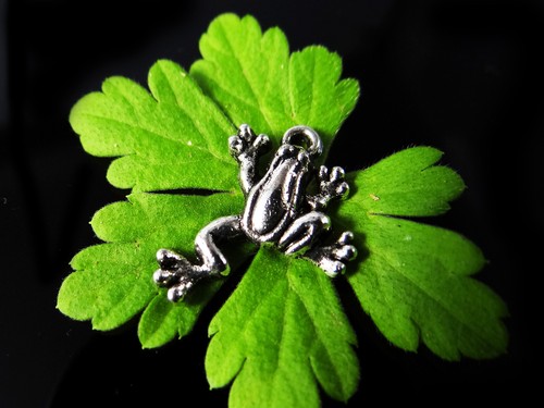 Frosch anhänger 21x15mm - frosch,