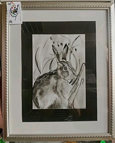 Feldhase zeichnung tierbild - feldhase,
