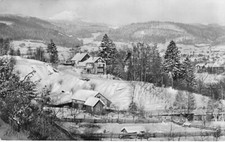 Zella-Mehlis AK Saale Panorama