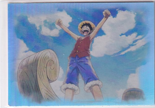 Panini one piece 25th - panini,