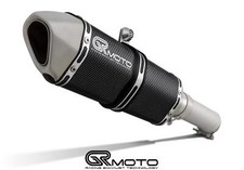 Auspuff für Suzuki DL 1000