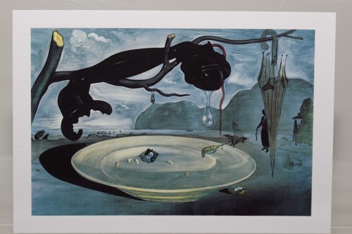 Salvador dali enigma de - salvador,