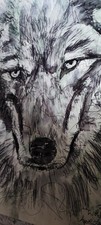 WOLF  Portrait Zeichnung By
