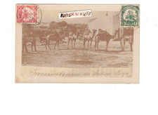 4N DSWA Kamele der Schutztruppe in Outjo FOTO Waldau !!! 27.2.1911 n. Hameln