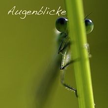 Augenblicke naturfotografie - augenblicke:,