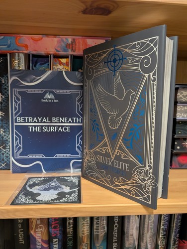 Book box silver elite - elite, by