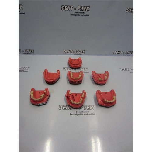 Godent modelle 300104 1 - modelle,