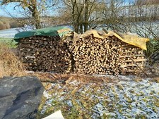 Brennholz buche eiche - brennholz, buche/eiche