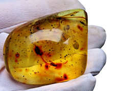 Bernstein mit LIBELULA