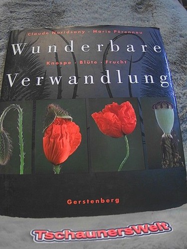 Wunderbare verwandlung - wunderbare,