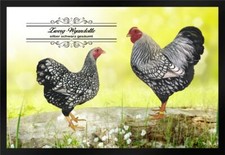 Fußmatte Schmutzfangmatte Hühner Zwerg Wyandotte silber schwarz ges. F1255