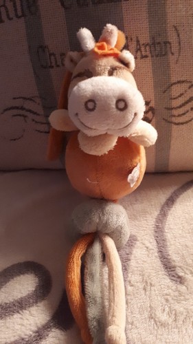 Noukies bär - noukies,
