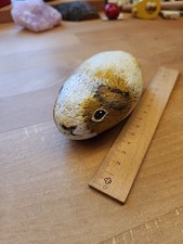 Meerschweinchen Flusskiesel Angemalt  Kieselstein Selbstgemacht 
