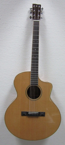 Stagg sa45 oce - stagg, oce-ac