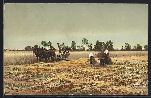 Ansichtskarte bauern mit einem - bauern,