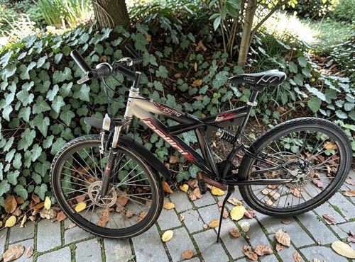 Bellini racing bike rennrad - bellini,