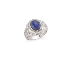 Herren sterlingsilber college - sterlingsilber,