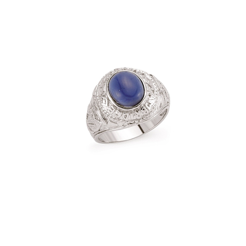 Herren sterlingsilber college - herren,