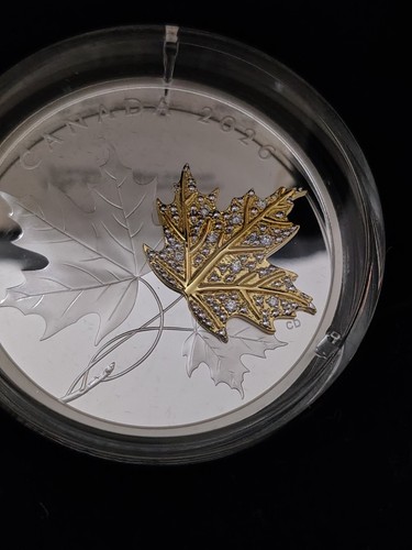 Unzen silber maple leaf 2026 - silber,