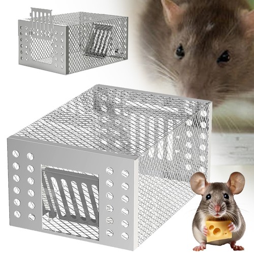 Maus lebendfalle mausefalle - lebendfalle,