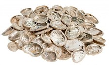 NaDeco Haliotis midae klein