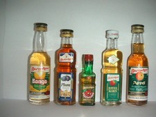 5x Miniaturflaschen