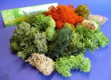 Jordan ISLANDMOOS BUNT sortiert gemischt GROßPACKUNG "Made in Germany"    70A