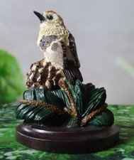 Unsere schöne Vogelwelt