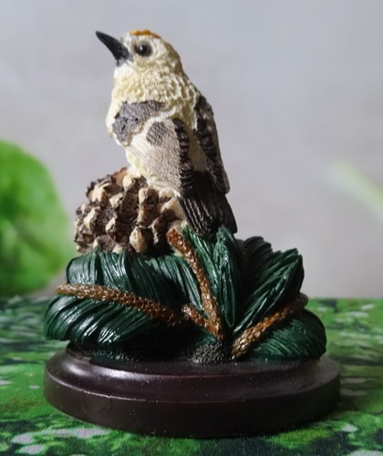 Unsere schöne vogelwelt - schöne,