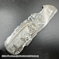 Stromatolith Fossil Abschnitt