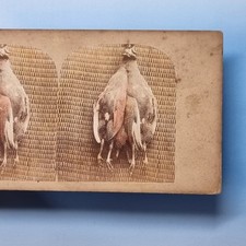 Frühe getönte Stereoansicht