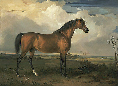 Eagle celebrated stallion - a,