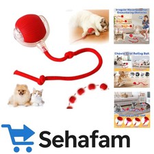 Interaktives Katzenspielzeug