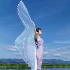 Isis wing belly dance wings - dance,