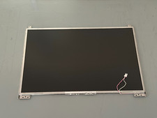 AU Optronics B154EW04 V.1 ist