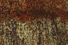 TAPETENBUCH Loft  Muster