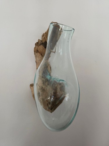 Wandvase wurzelholz glas - wandvase,