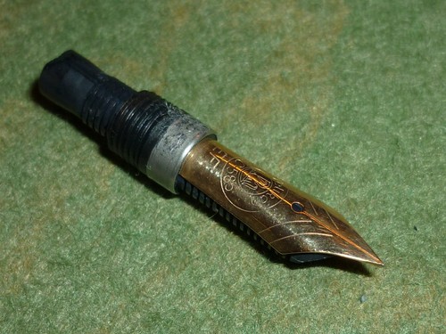 Pelikan goldfeder alte - pelikan,